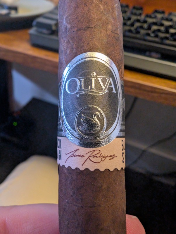 Oliva - Black Swan