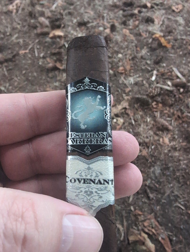 Esteban Carreras - Covenant